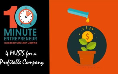 Ep 299: 4 MUSTS for a Profitable Company