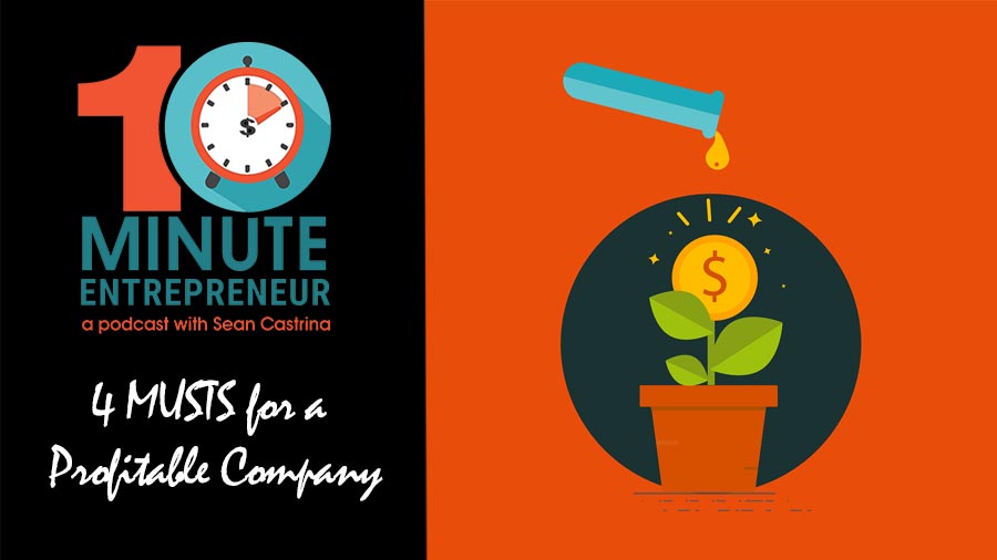 Ep 299: 4 MUSTS for a Profitable Company